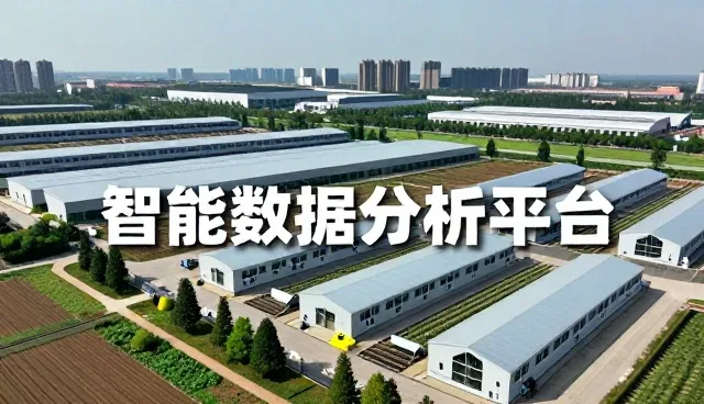 构建稳定业务支持体系的实践建议